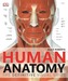 Human Anatomy