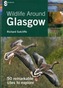 Wildlife Around Glasgow
