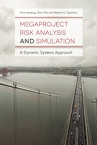Megaproject Risk Analysis and Simulation