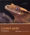 Crested Gecko - Pet Expert