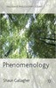 Phenomenology