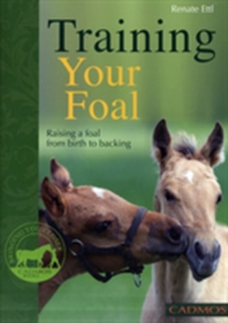 Training Your Foal
