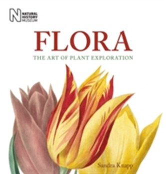 Flora