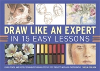 Draw Like an Expert in 15 Easy Lessons