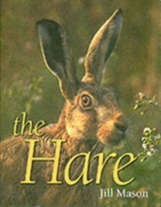 The Hare