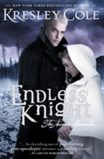 Endless Knight