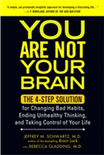 You Are Not Your Brain