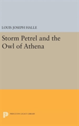 Storm Petrel and the Owl of Athena