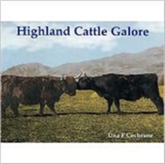 Highland Cattle Galore