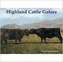 Highland Cattle Galore