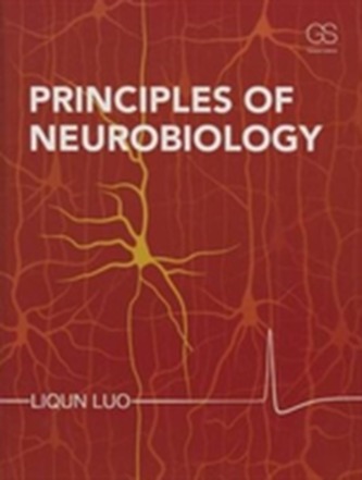 Principles of Neurobiology