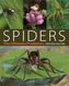 Spiders