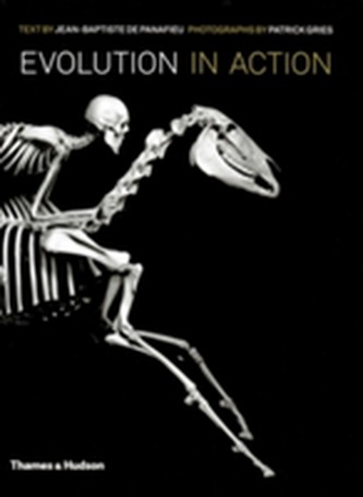 Evolution in Action: Natural History through Skeletons