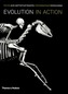 Evolution in Action: Natural History through Skeletons