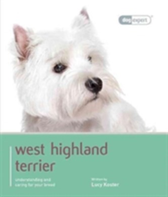 Westie - Dog Expert
