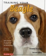Training Your Beagle