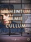 Momentum