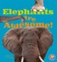 Elephants Are Awesome!