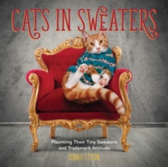 Cats in Sweaters