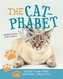 Cat-phabet: A guide to our furry overlords from A to Z