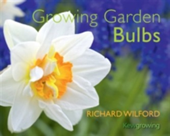 Growing Garden Bulbs