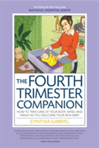 The Fourth Trimester Companion
