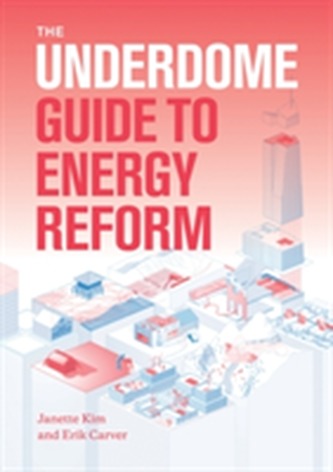 The Underdome Guide to Energy Reform