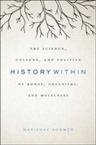 History Within