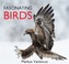 Fascinating Birds