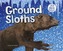Ground Sloths