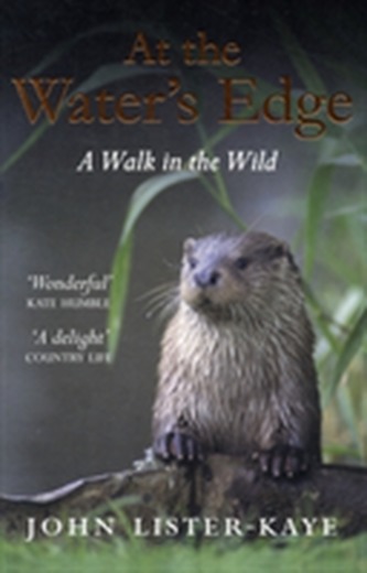 At the Water's Edge