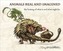 Animals Real and Imagined