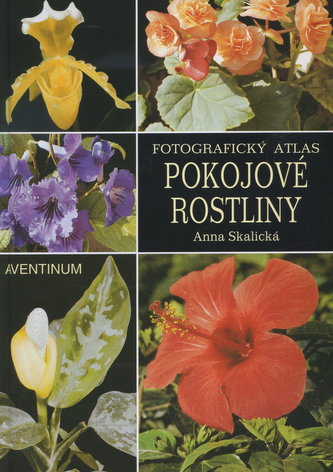 Fotografický atlas pokojové rostliny