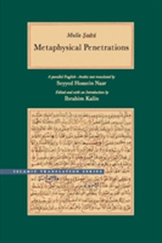 Metaphysical Penetrations