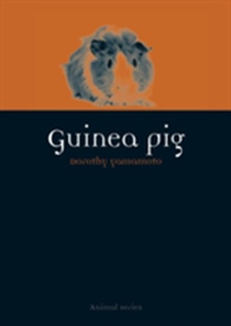 Guinea Pig