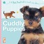 Cuddly Puppies