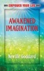 Awakened Imagination