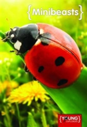Mini-Beasts