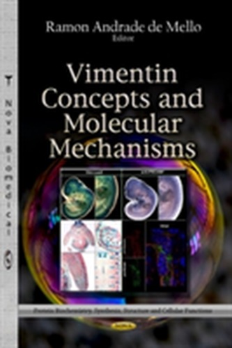 Vimentin Concepts & Molecular Mechanisms