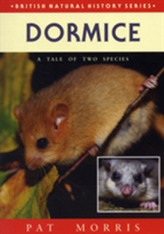 Dormice