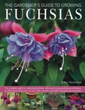 Gardener's Guide to Growing Fuchsias