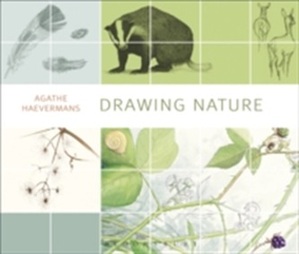 Drawing Nature