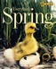 Everything Spring