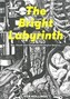 Bright Labyrinth