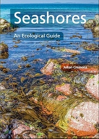 Seashores