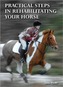 Practical Steps in Rehabilitating your Horse