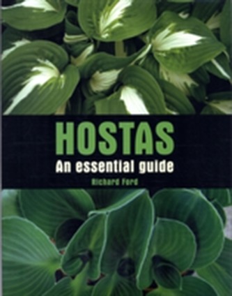 Hostas
