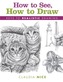 How to See, How to Draw [new-in-paperback]