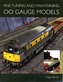 Fine Tuning and Maintaining 00 Gauge Models