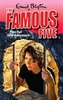 Famous Five: Five Fall Into Adventure